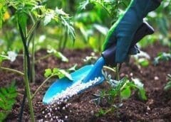 Thumbnail for EU to fund construction of Kigali Wholesale Market for fresh produce