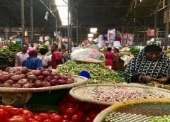 Thumbnail for Cameroonian poultry cooperative receives technical support from TiKA to increase production capacity