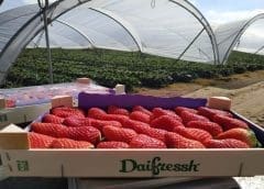 Thumbnail for BGI Ethiopia invests US$9.3m in expanding Meto Abo Brewery