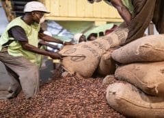 Thumbnail for USAID partners with Ofi to invest US$8.1m in facilitating Peruvian coffee entry into premium markets  