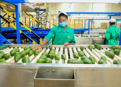 Thumbnail for PepsiCo Portugal invests US$8m in transforming organic waste into biogas at Carregado plant