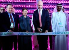 Thumbnail for Kerry Group full-year profits impacted by exit from Russia and Belarus despite 19.3% jump in revenues