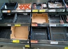 Thumbnail for Starbucks suspends tea purchases from James Finlay’s tea estate in Kenya over sex for work scandal