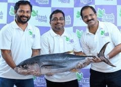 Thumbnail for Production of steviol glycosides extracted from stevia proves to be sustainable: new study from University of Surrey suggests