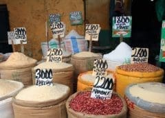 Thumbnail for Organic fertilizer producer SBL Company signs pact to distribute fertilizer through NCBP and KFA