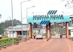 Thumbnail for Cal-Maine Foods to acquire assets from Fassio egg farms