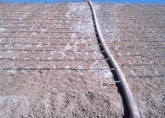 Thumbnail for Namibia pumps fresh funds into MeatCo amid review to determine viability of the state-owned meat processor