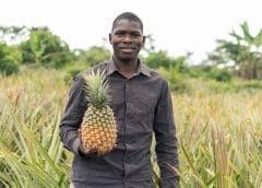 Thumbnail for Sugar imports to Kenya rose 22% in February, India and Madagascar account for 80%