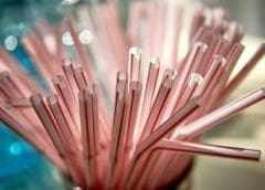 Thumbnail for Uganda Breweries empowers Luzira single mothers with agribusiness skills