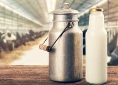 Thumbnail for US$5M milk processing plant launched to bolster Angolan domestic dairy production