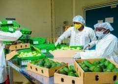 Thumbnail for Coca-Cola pulls Innocent dairy-free products off-shelf