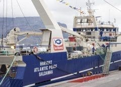 Thumbnail for Hormel Foods turkey supply take hit on account of avian influenza outbreak