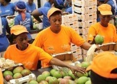 Thumbnail for Geia Food expands its footprint in Nordic Region with acquisition of Topfoods