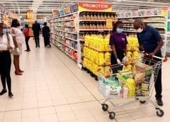 Thumbnail for Bio Cannat breaks ground on Morocco’s first legal cannabis lab