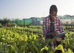 Thumbnail for Typhoo Tea to shut down Moreton blending and packing site