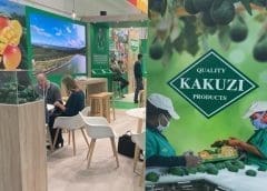 Thumbnail for Sugar imports to Kenya rose 22% in February, India and Madagascar account for 80%