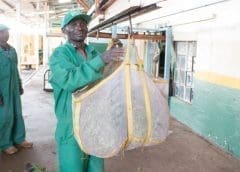 Thumbnail for PepsiCo invests US$216m in regenerative agricultural projects in USA