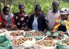 Thumbnail for Coca-Cola Beverages Africa marks International Women’s Day in a special way, inaugurates nursing area for breastfeeding mothers in Uganda