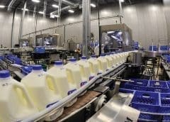 Thumbnail for USDA forecasts Poultry production in Brazil to increase to 14.8 million tonnes in 2023