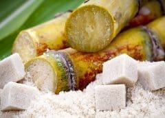 Thumbnail for Sapporo Holdings unveils growth strategy, announces structural reforms 