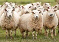 Thumbnail for FrieslandCampina appoints GreenV’s CEO Jan Derck van Karnebeek to take helm