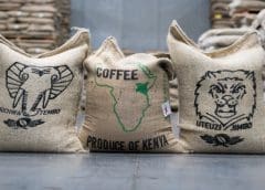 Thumbnail for UK Greek-style yogurt maker Tims Dairy invests in new capacity to boost production