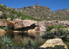 Thumbnail for Pepsi unveils new logo that unlocks more flexibility to move between physical and digital spaces