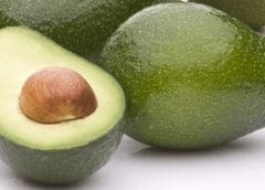 Thumbnail for Ethiopian horticultural player WoubGet Holdings to set up US$6.5m cold storage facility in Modjo town