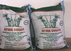 Thumbnail for Gledhow Sugar Company enters business rescue as sugarcane farmers and workers face uncertain future