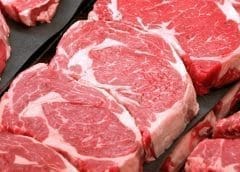 Thumbnail for South African beef enters Saudi market following successful negotiation