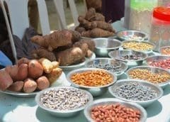 Thumbnail for Tanzania sets up new information center for all genetic materials in the seed industry