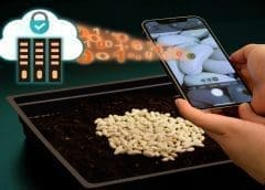 Thumbnail for Coca-Cola Kwanza starts transition to eco-friendly fleets with new CNG-powered truck from Scania