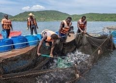 Thumbnail for Top 5 Global Consumer Trends in Sub-Saharan Africa