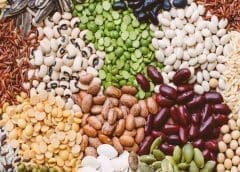 Thumbnail for TOSCI advances counterfeit seed fight with new certification standards