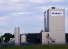 Thumbnail for First semi-automated chicken abattoir starts operations in Kenya