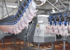 Thumbnail for Coca-Cola sells 5% more products in Q1, launches “Create Real Magic” platform for consumers