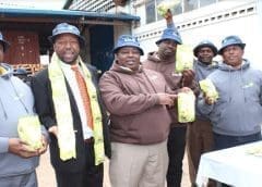 Thumbnail for Malteries Soufflet intends to acquire United Malt Group for almost US$1bln