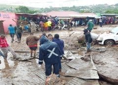 Thumbnail for Tongaat Hulett agrees to rectify payment mechanism for cane deliveries