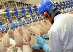 Thumbnail for Kenya fish prices set to increase by 50% in case parliament approves proposal to introduce excise duty