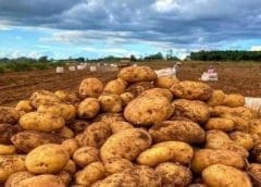 Thumbnail for Thirty percent of UK alcohol drinkers would rather treat themselves to a better-quality drink at home than go out