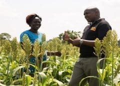 Thumbnail for Quantum Foods culls 420,000 birds due to avian flu outbreak, warns of potential egg supply crunch