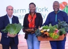 Thumbnail for Kenya secures direct market for avocado in Israel