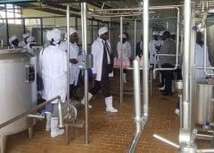 Thumbnail for Koa launches first Ghanian cocoa fruit juice