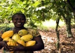 Thumbnail for Meatable breakthrough to significantly lower cost of cultivated meat  