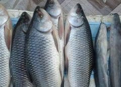 Thumbnail for Europe clocks into shortage of Coca-Cola products as Wakefield worker’s plan for strike