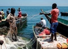 Thumbnail for Kenya proposes 10% excise duty increase on fish imports to raise revenue