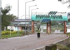 Thumbnail for Shirin Asal unveils new chocolate product expanding its product line