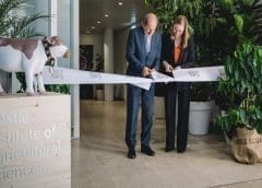 Thumbnail for Livestock farmers in Kenya urged to increase meat production