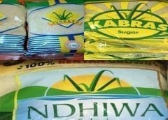 Thumbnail for AB InBev ends commercialization of Babe Wine, HiBall canned drink brands