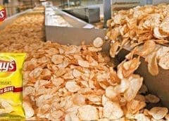 Thumbnail for New Zealand honey producers lose fight with Australia over trademarking Manuka honey